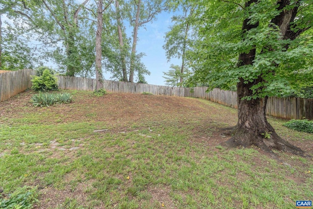 1605 Oakleaf Ln, Charlottesville, VA 22903 - view of fenced backyard