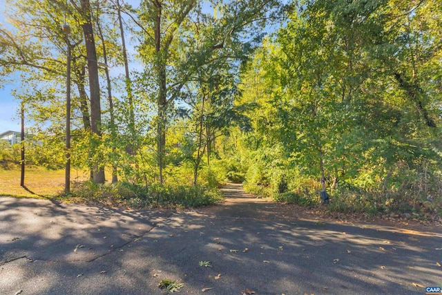 1605 Oakleaf Ln, Charlottesville, VA 22903 - view of street