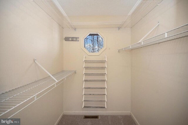 spacious closet featuring carpet