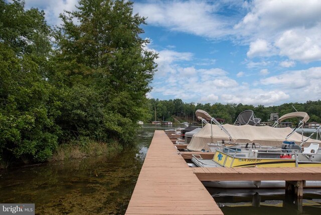 79 Hickory Cir, Mineral, VA 23117 - view of dock area