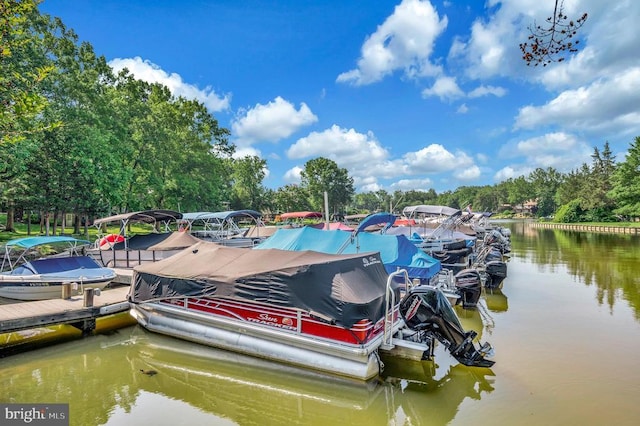 1406 Lakeview Pkwy, Locust Grove, VA 22508 - dock with a water view and view of wooded area
