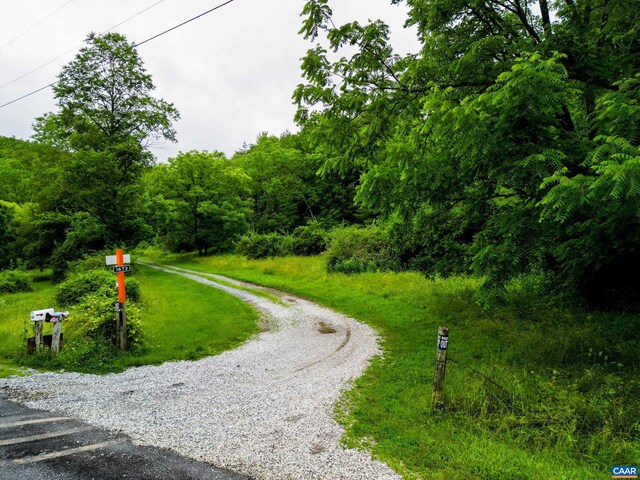 0 Pedlar River Rd, Vesuvius, VA 24483 - photo 18