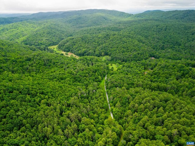 0 Pedlar River Rd, Vesuvius, VA 24483 - photo 3