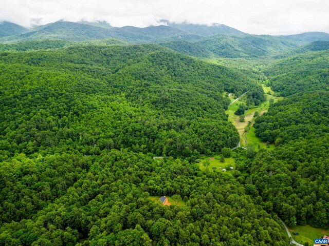 0 Pedlar River Rd, Vesuvius, VA 24483 - photo 10