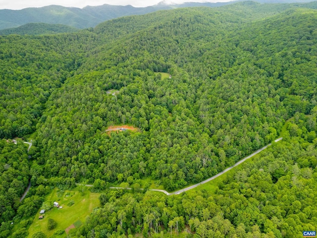 0 Pedlar River Rd, Vesuvius, VA 24483 - photo 1