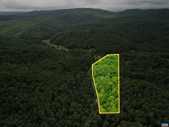 0 Pedlar River Rd, Vesuvius, VA 24483 - photo 4