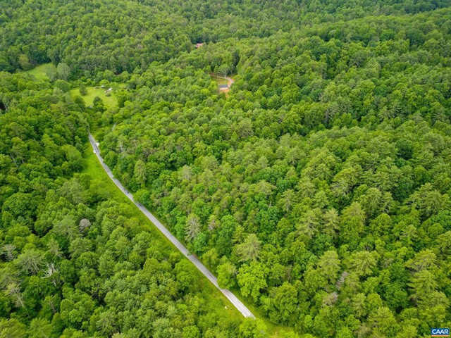 0 Pedlar River Rd, Vesuvius, VA 24483 - photo 12