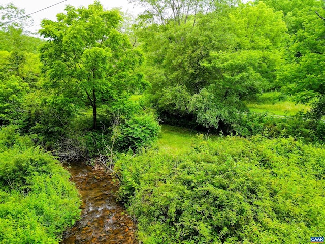 0 Pedlar River Rd, Vesuvius, VA 24483 - photo 20