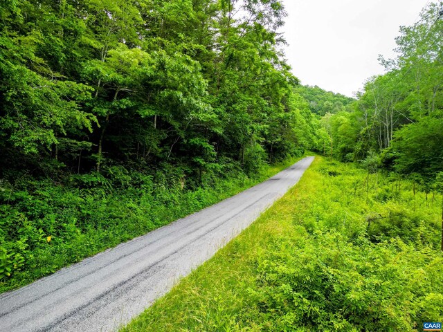 0 Pedlar River Rd, Vesuvius, VA 24483 - photo 17