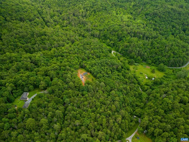 0 Pedlar River Rd, Vesuvius, VA 24483 - photo 8