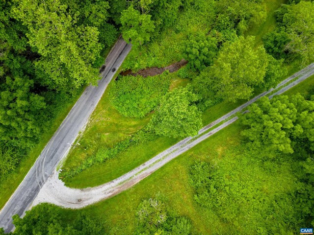 0 Pedlar River Rd, Vesuvius, VA 24483 - photo 19