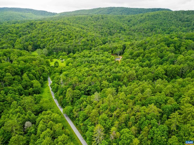 0 Pedlar River Rd, Vesuvius, VA 24483 - photo 13