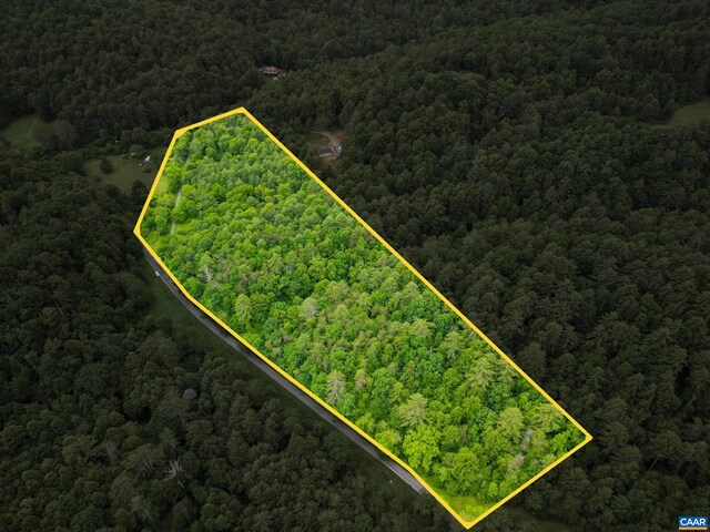 0 Pedlar River Rd, Vesuvius, VA 24483 - photo 6