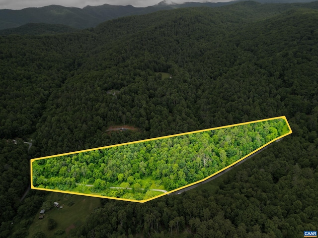 0 Pedlar River Rd, Vesuvius, VA 24483 - photo 2