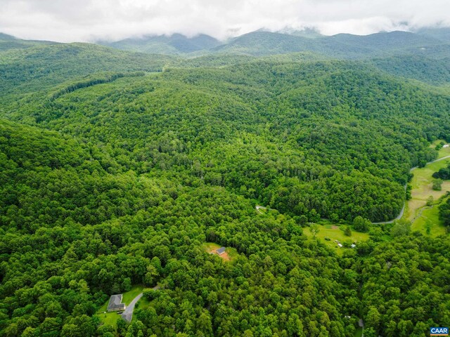 0 Pedlar River Rd, Vesuvius, VA 24483 - photo 9
