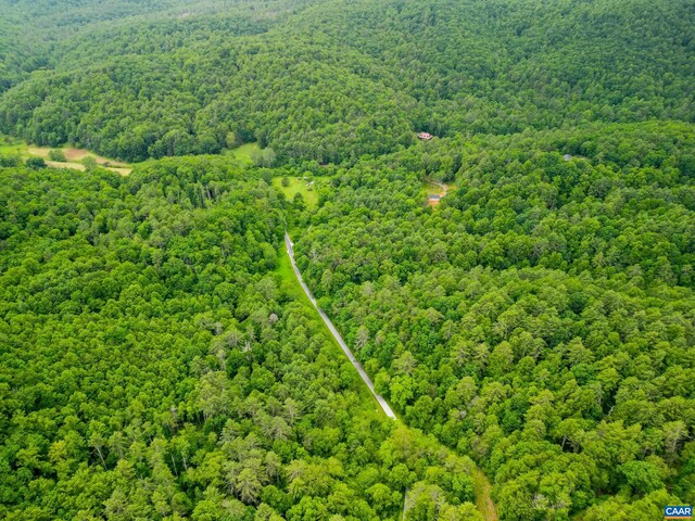 0 Pedlar River Rd, Vesuvius, VA 24483 - photo 5