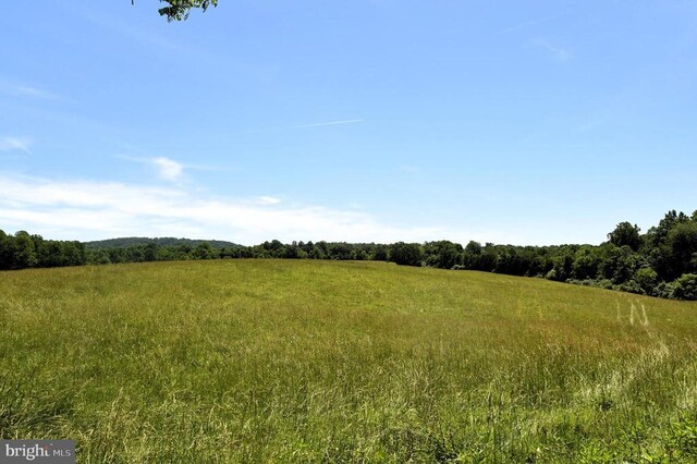 Slate Mills Rd, Sperryville, VA 22740 - photo 6
