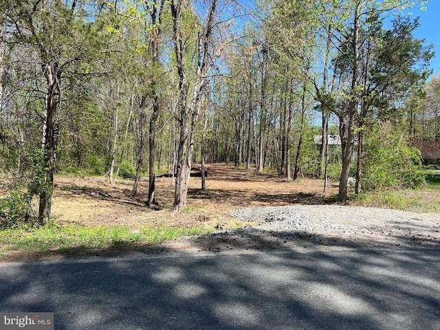 Historic Ln, Mineral, VA 23117