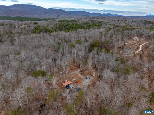 7676 Old Dominion Rd, Schuyler, VA 22969