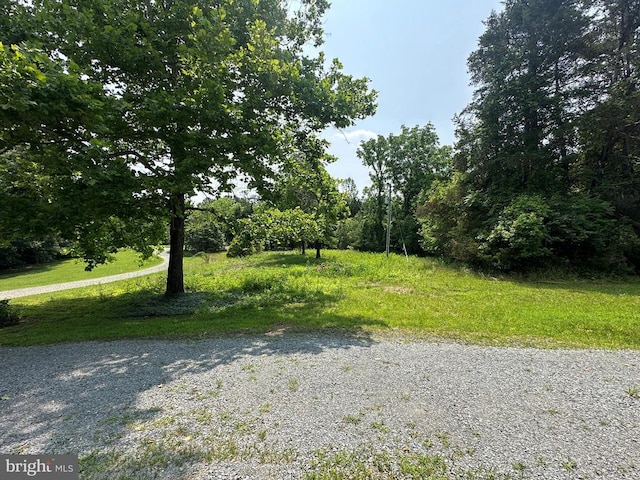 3444 Kelley Dr, Barboursville, VA 22923 - photo 33