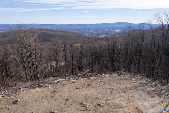 0 Saddle Hollow Rd, Crozet, VA 22932