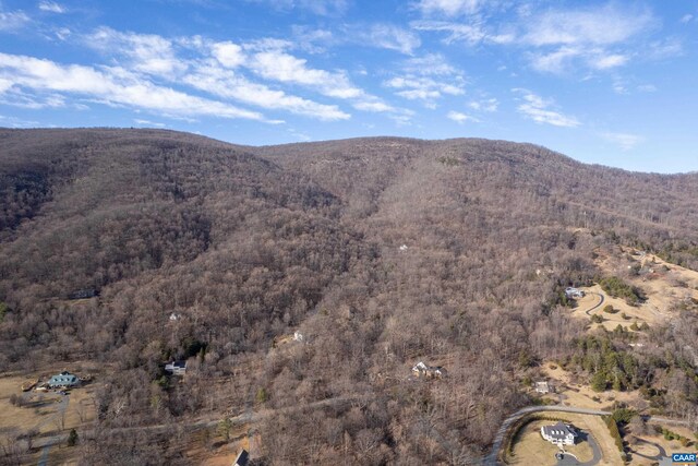 0 Saddle Hollow Rd, Crozet, VA 22932 - photo 15
