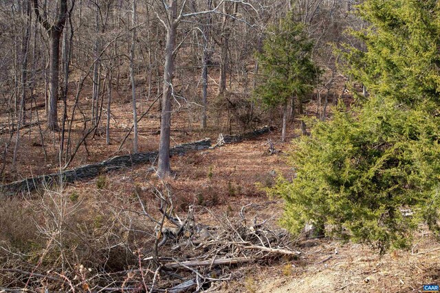 0 Saddle Hollow Rd, Crozet, VA 22932 - photo 45