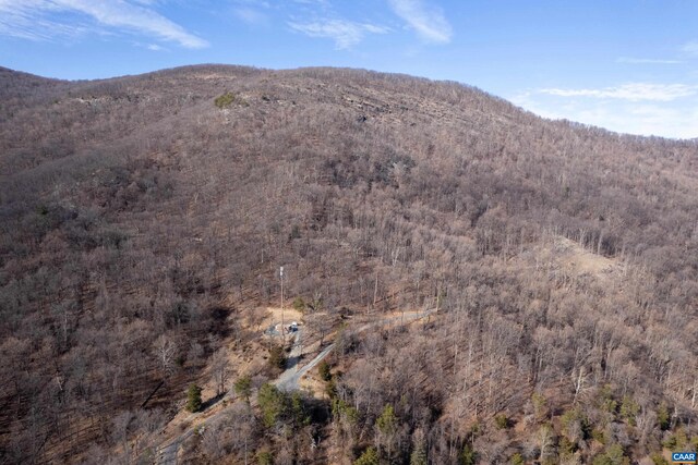 0 Saddle Hollow Rd, Crozet, VA 22932 - photo 32
