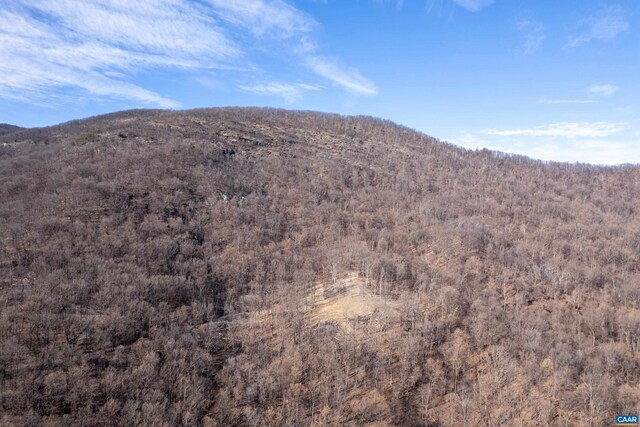 0 Saddle Hollow Rd, Crozet, VA 22932 - photo 40