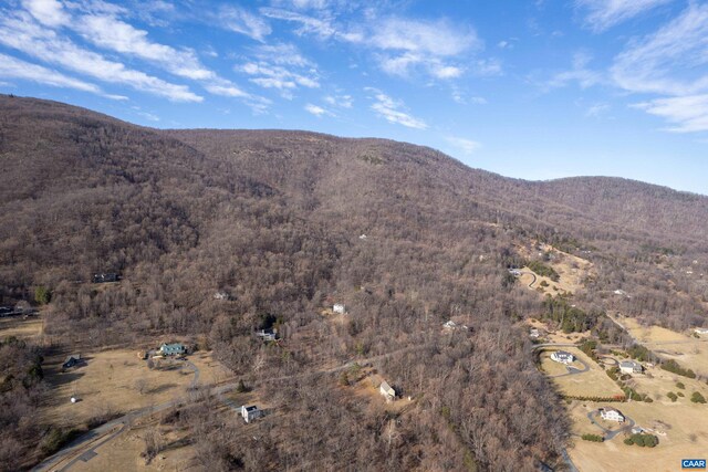 0 Saddle Hollow Rd, Crozet, VA 22932 - photo 14