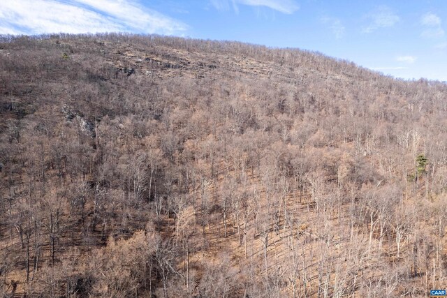 0 Saddle Hollow Rd, Crozet, VA 22932 - photo 43