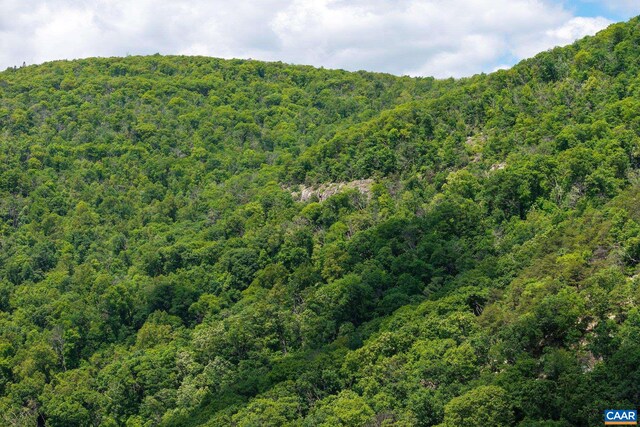 0 Saddle Hollow Rd, Crozet, VA 22932 - photo 4