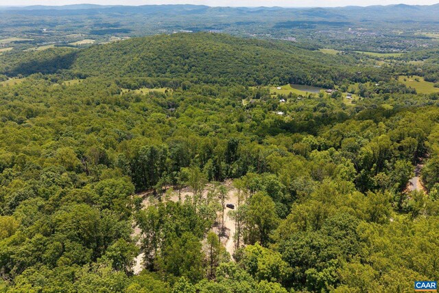 0 Saddle Hollow Rd, Crozet, VA 22932 - photo 6