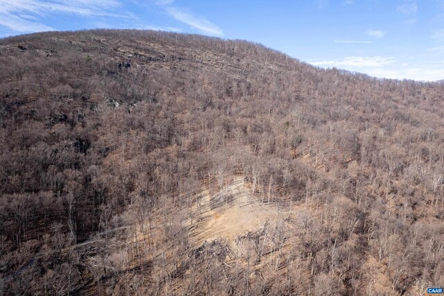 0 Saddle Hollow Rd, Crozet, VA 22932 - photo 48