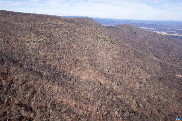 0 Saddle Hollow Rd, Crozet, VA 22932 - photo 29