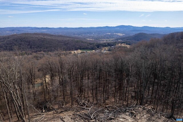 0 Saddle Hollow Rd, Crozet, VA 22932 - photo 21