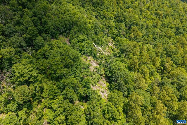 0 Saddle Hollow Rd, Crozet, VA 22932 - photo 5
