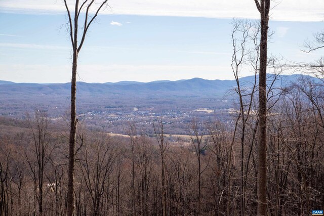 0 Saddle Hollow Rd, Crozet, VA 22932 - photo 22