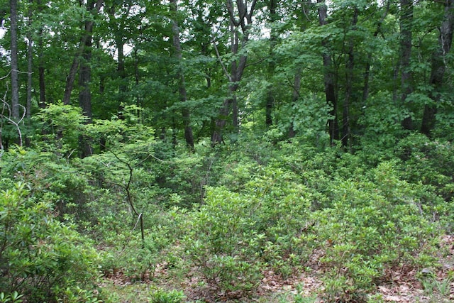20 High Valley S, Monterey, VA 24465