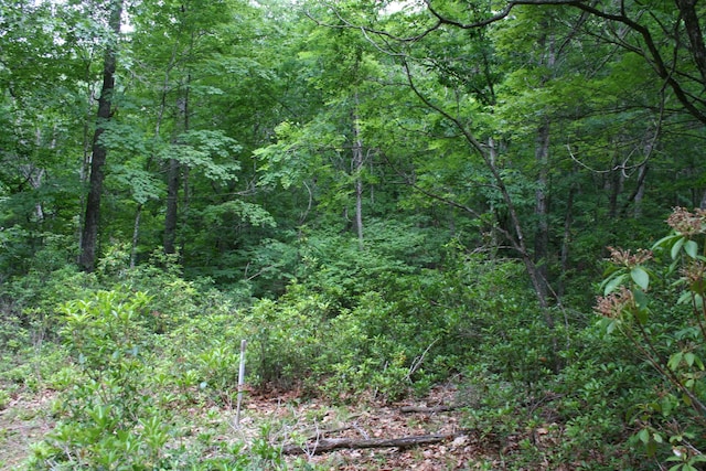 20 High Valley S, Monterey, VA 24465