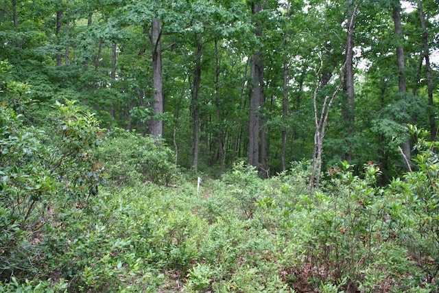 20 High Valley S, Monterey, VA 24465