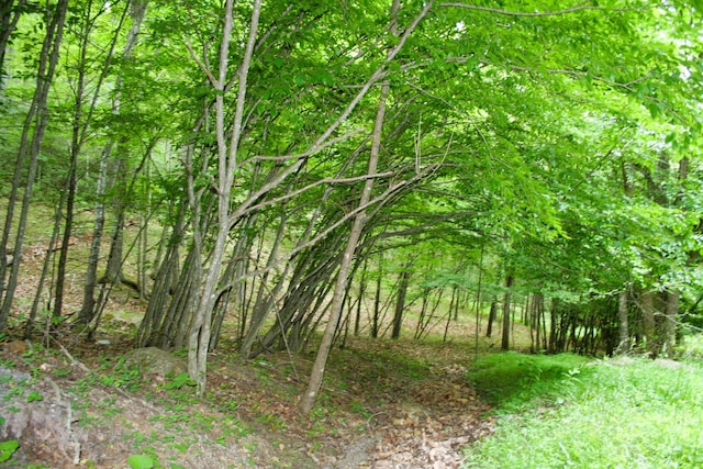 20 High Valley S, Monterey, VA 24465