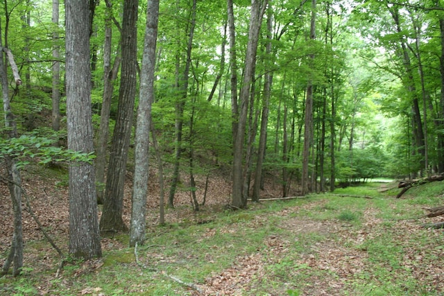 20 High Valley S, Monterey, VA 24465