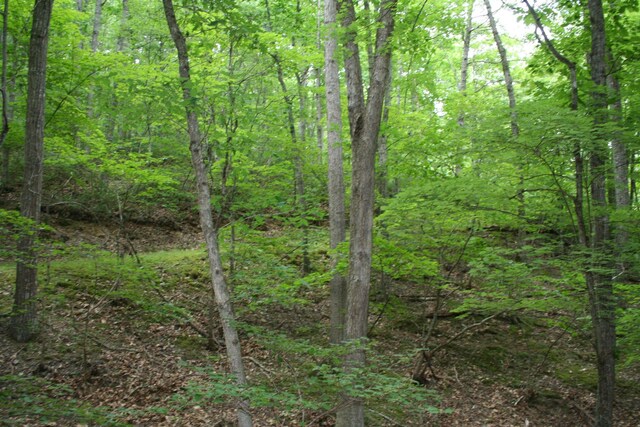 20 High Valley S, Monterey, VA 24465