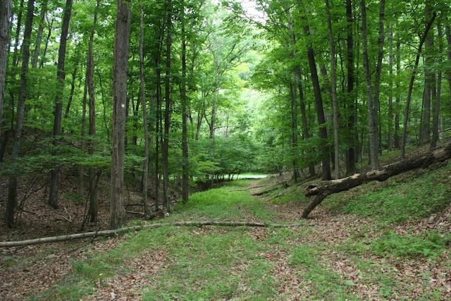 20 High Valley S, Monterey, VA 24465