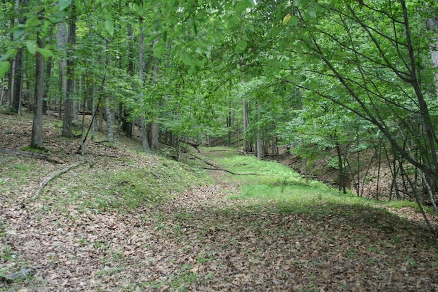 20 High Valley S, Monterey, VA 24465