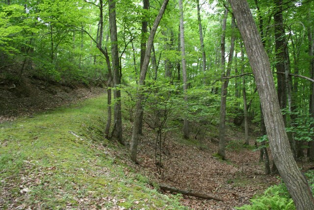 20 High Valley S, Monterey, VA 24465