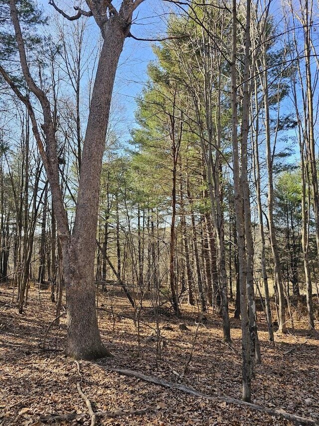 LOT1REVISED Berry Farm Rd, Staunton, VA 24401 - photo 14