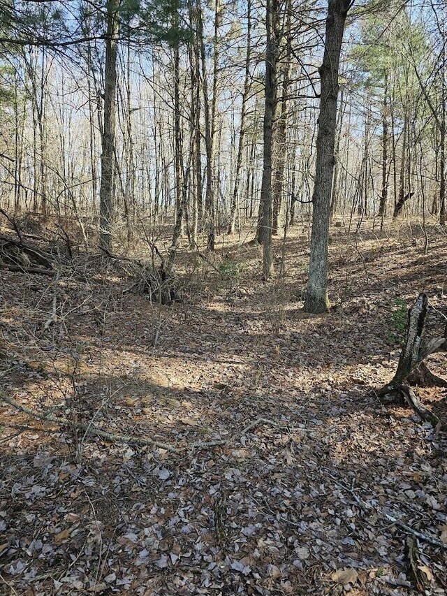 LOT1REVISED Berry Farm Rd, Staunton, VA 24401 - photo 13