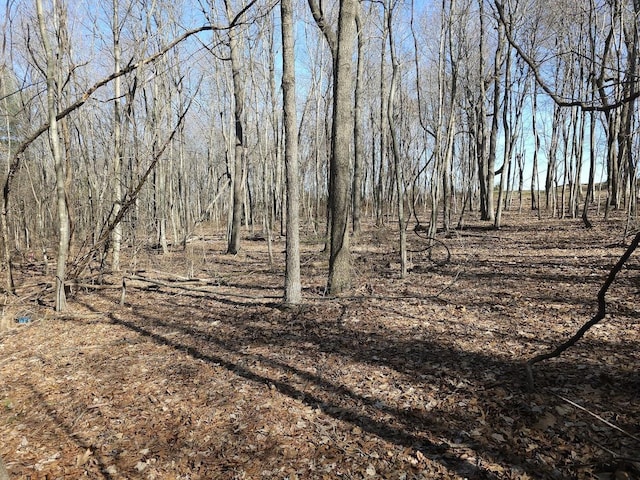 LOT1REVISED Berry Farm Rd, Staunton, VA 24401 - photo 1